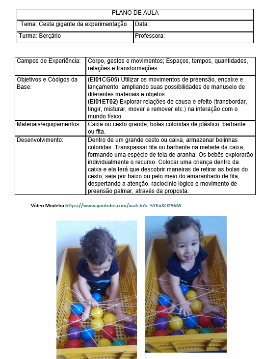 Cesto gigante da experimentação
